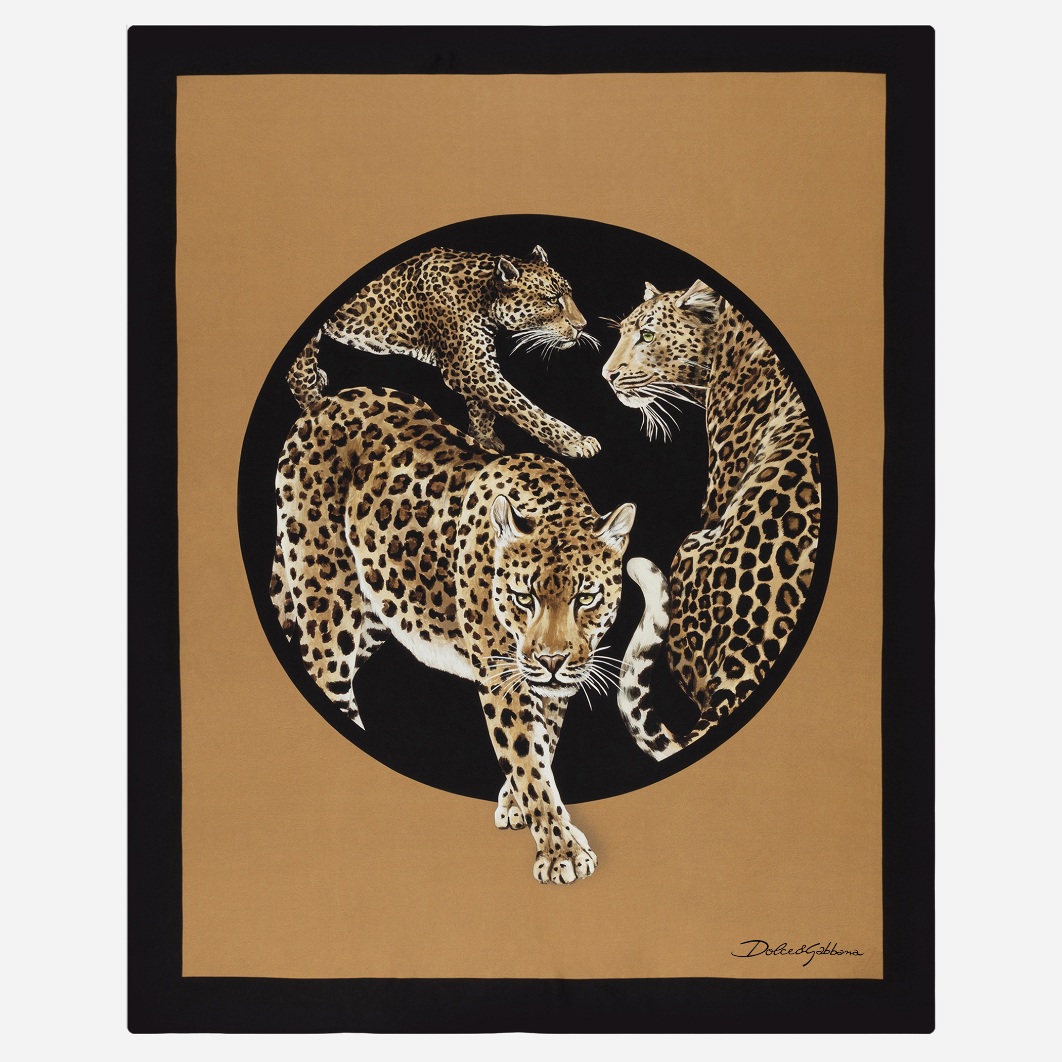 The story of LEOPARD in Dolce&Gabbana
