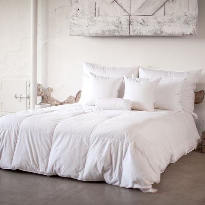 Laurel Comforter by Ogallala