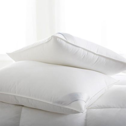 Bergen Down Free Pillows by Scandia Home