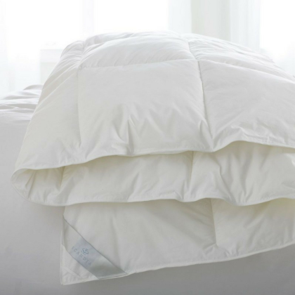 Bergen Down Free Comforter by Scandia Home