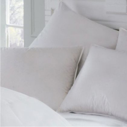 Intera Firmasoft Chamber Pillows By Downright